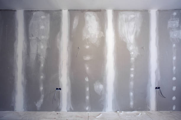 Best Drywall Installation  in Elkhart, IN